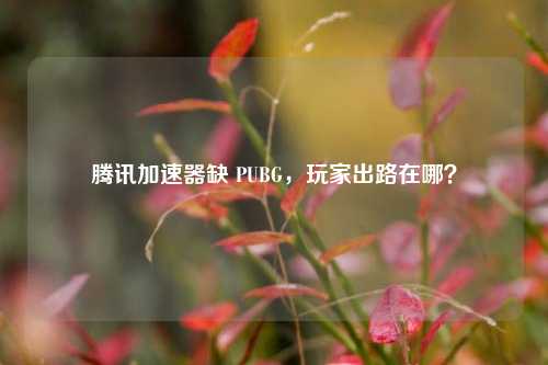 腾讯加速器缺 PUBG，玩家出路在哪？