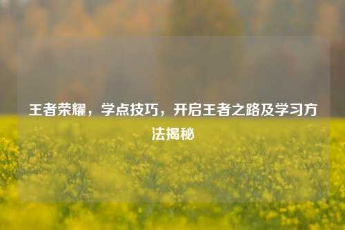 王者荣耀,学点技巧,开启王者之路及学习方法揭秘