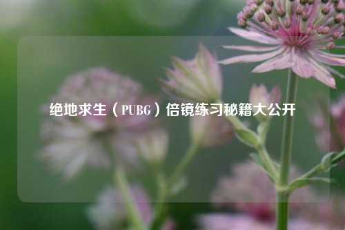 绝地求生(PUBG)倍镜练习秘籍大公开