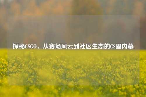 探秘CSGO,从赛场风云到社区生态的CS圈内幕