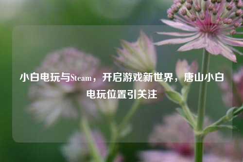 小白电玩与Steam，开启游戏新世界，唐山小白电玩位置引关注