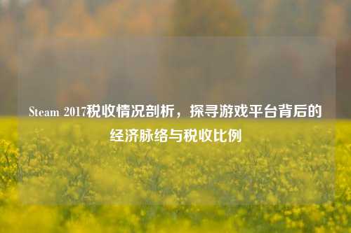 Steam 2017税收情况剖析,探寻游戏平台背后的经济脉络与税收比例
