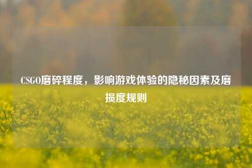 CSGO磨碎程度,影响游戏体验的隐秘因素及磨损度规则