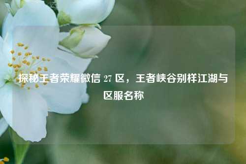 探秘王者荣耀微信 27 区,王者峡谷别样江湖与区服名称