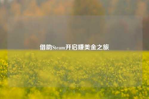 借助Steam开启赚美金之旅