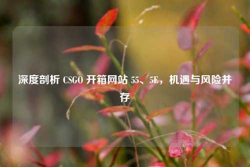 深度剖析 CSGO 开箱网站 55、5E，机遇与风险并存