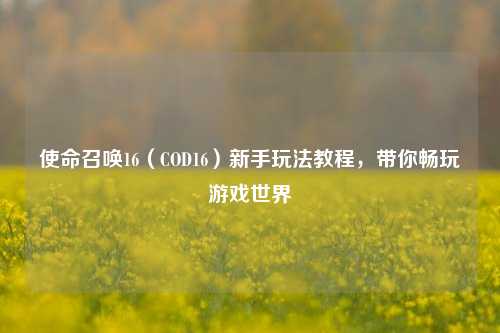 使命召唤16（COD16）新手玩法教程，带你畅玩游戏世界