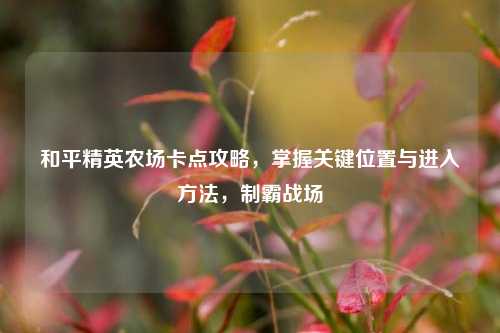 和平精英农场卡点攻略,掌握关键位置与进入方法,制霸战场