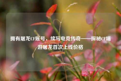 拥有屠龙CF账号,续写电竞传奇——探秘CF端游屠龙首次上线价格