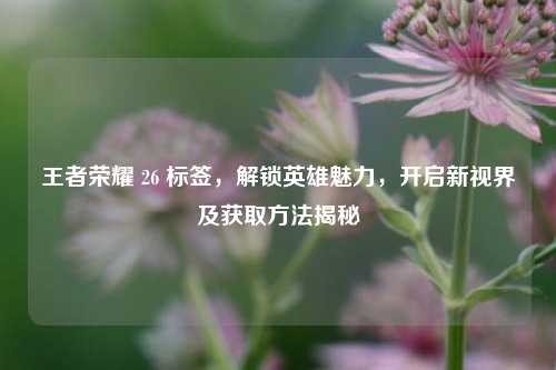 王者荣耀 26 标签，解锁英雄魅力，开启新视界及获取方法揭秘