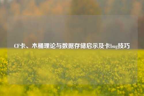 CF卡、木桶理论与数据存储启示及卡bug技巧