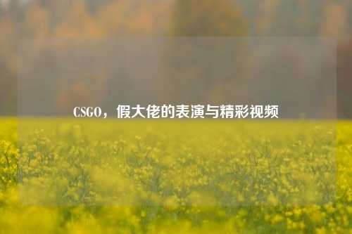 CSGO,假大佬的表演与精彩视频