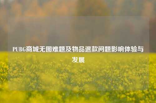 PUBG商城无图难题及物品退款问题影响体验与发展