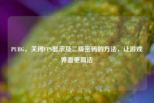 PUBG,关闭FPS显示及二级密码的方法,让游戏界面更简洁