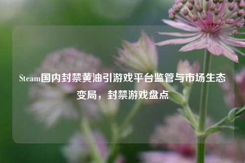 Steam国内封禁黄油引游戏平台监管与市场生态变局，封禁游戏盘点