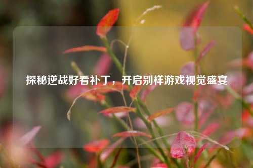 探秘逆战好看补丁,开启别样游戏视觉盛宴