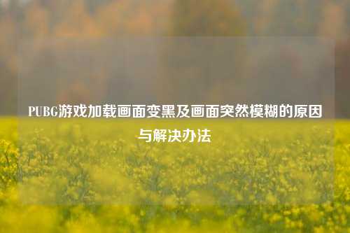 PUBG游戏加载画面变黑及画面突然模糊的原因与解决办法