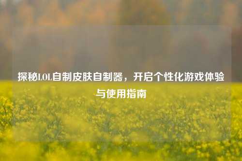 探秘LOL自制皮肤自制器，开启个性化游戏体验与使用指南