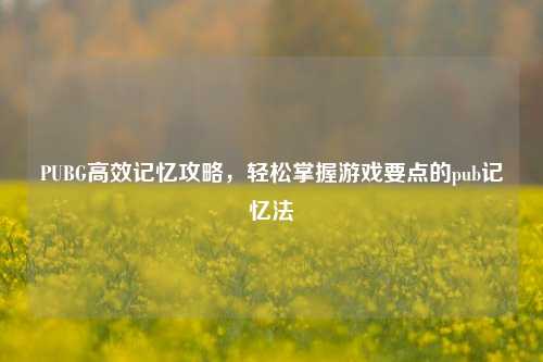 PUBG高效记忆攻略,轻松掌握游戏要点的pub记忆法
