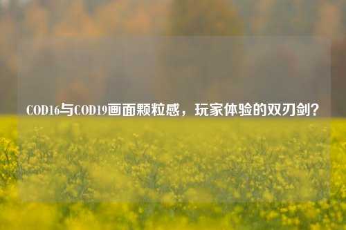 COD16与COD19画面颗粒感,玩家体验的双刃剑?
