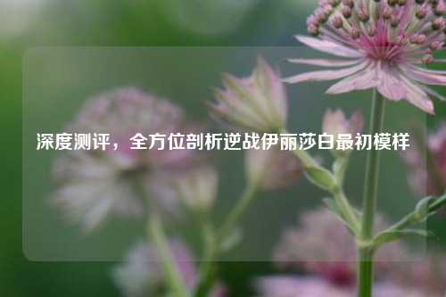 深度测评,全方位剖析逆战伊丽莎白最初模样