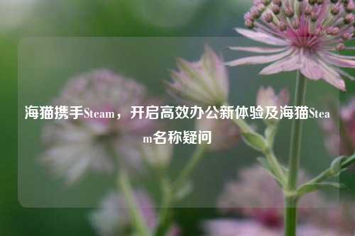 海猫携手Steam，开启高效办公新体验及海猫Steam名称疑问