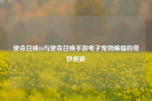 使命召唤16与使命召唤手游电子宠物蝙蝠的奇妙邂逅