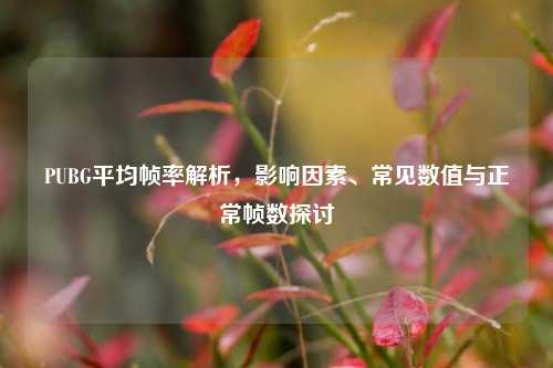 PUBG平均帧率解析,影响因素、常见数值与正常帧数探讨