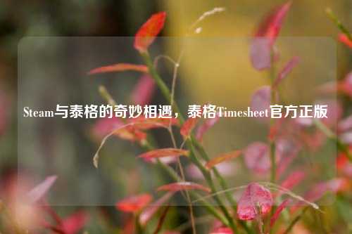 Steam与泰格的奇妙相遇,泰格Timesheet官方正版