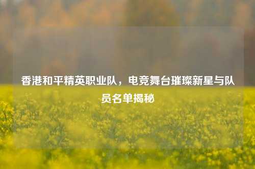 香港和平精英职业队，电竞舞台璀璨新星与队员名单揭秘