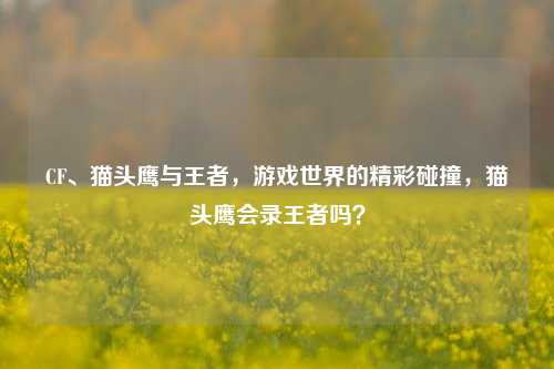 CF、猫头鹰与王者，游戏世界的精彩碰撞，猫头鹰会录王者吗？