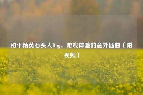 和平精英石头人Bug,游戏体验的意外插曲(附视频)
