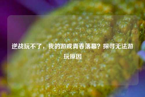 逆战玩不了,我的游戏青春落幕?探寻无法游玩原因
