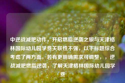 中逆战减肥动作，开启燃脂逆袭之旅与天津格林国际幼儿园学费关联性不强，以下标题综合考虑了两方面，若有更明确需求可调整，，逆战减肥燃脂逆袭，了解天津格林国际幼儿园学费