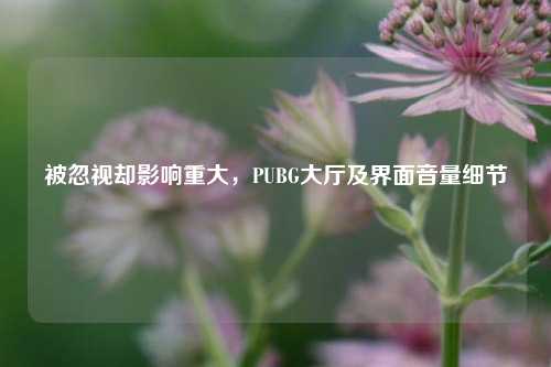 被忽视却影响重大，PUBG大厅及界面音量细节