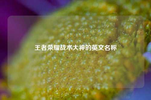 王者荣耀战术大神的英文名称
