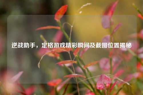 逆战助手,定格游戏精彩瞬间及截图位置揭秘