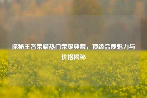 探秘王者荣耀热门荣耀典藏，顶级品质魅力与价格揭秘