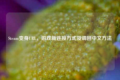 Steam变身URL,游戏新连接方式及调回中文方法
