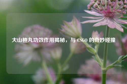大山楂丸功效作用揭秘，与 CSGO 的奇妙碰撞