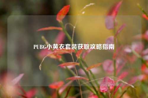 PUBG小黄衣套装获取攻略指南