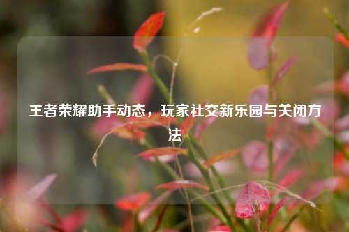 王者荣耀助手动态，玩家社交新乐园与关闭方法