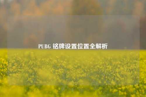PUBG 铭牌设置位置全解析