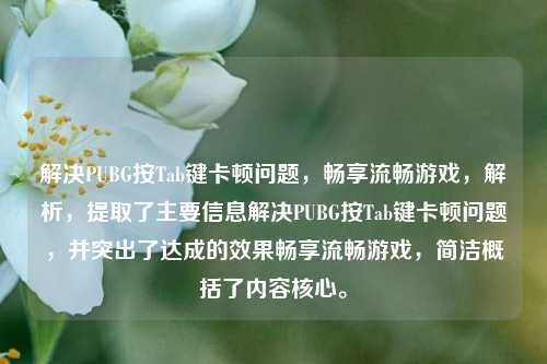 解决PUBG按Tab键卡顿问题，畅享流畅游戏，解析，提取了主要信息解决PUBG按Tab键卡顿问题，并突出了达成的效果畅享流畅游戏，简洁概括了内容核心。