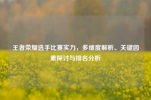 王者荣耀选手比赛实力,多维度解析、关键因素探讨与排名分析