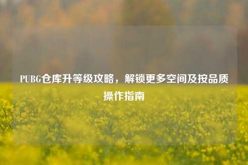 PUBG仓库升等级攻略,解锁更多空间及按品质操作指南
