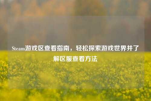 Steam游戏区查看指南,轻松探索游戏世界并了解区服查看方法