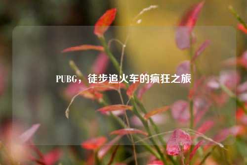 PUBG，徒步追火车的疯狂之旅