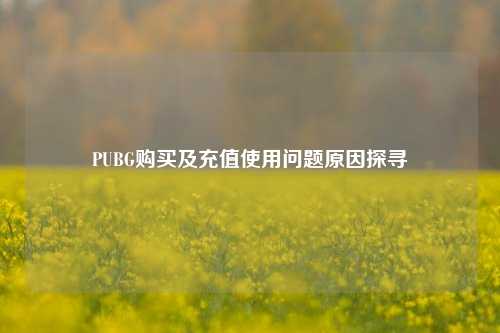 PUBG购买及充值使用问题原因探寻