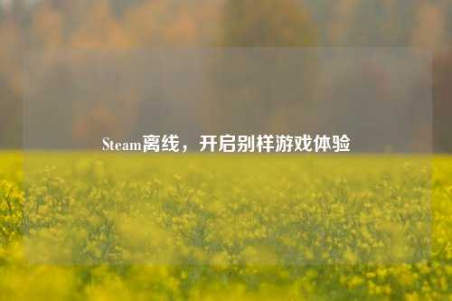 Steam离线，开启别样游戏体验